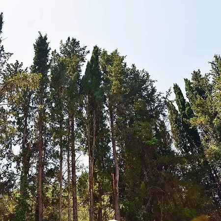 بيت للعطل The Little House On Spingeli *